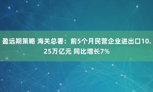 盈远期策略 海关总署：前5个月民营企业进出口10.25万亿元 同比增长7%