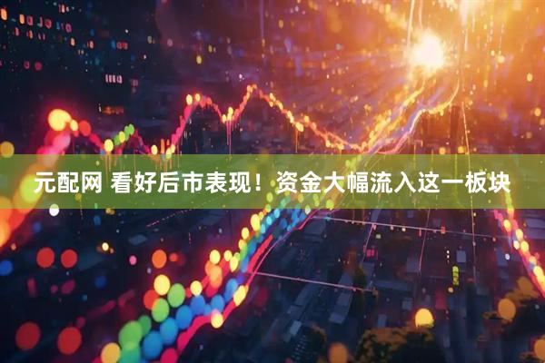 元配网 看好后市表现！资金大幅流入这一板块